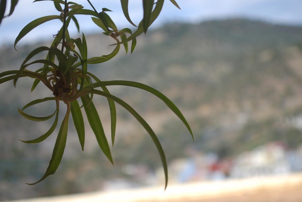 La Colombe Blanche Guest house 3*