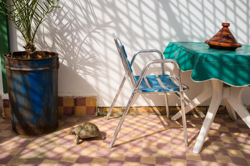 Guest house La Colombe Blanche